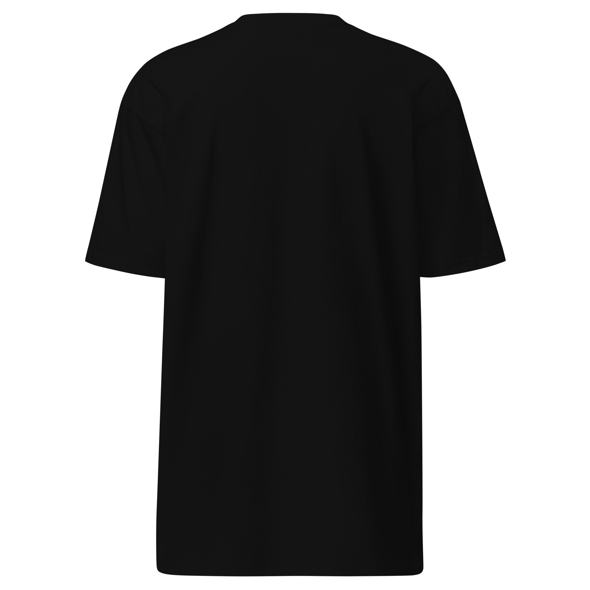 Trader Id Investor mens premium heavyweight embroidered t-shirt boxy fit male trading clothing